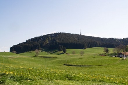 Oberallgäu: Blender (Wiggensbach)