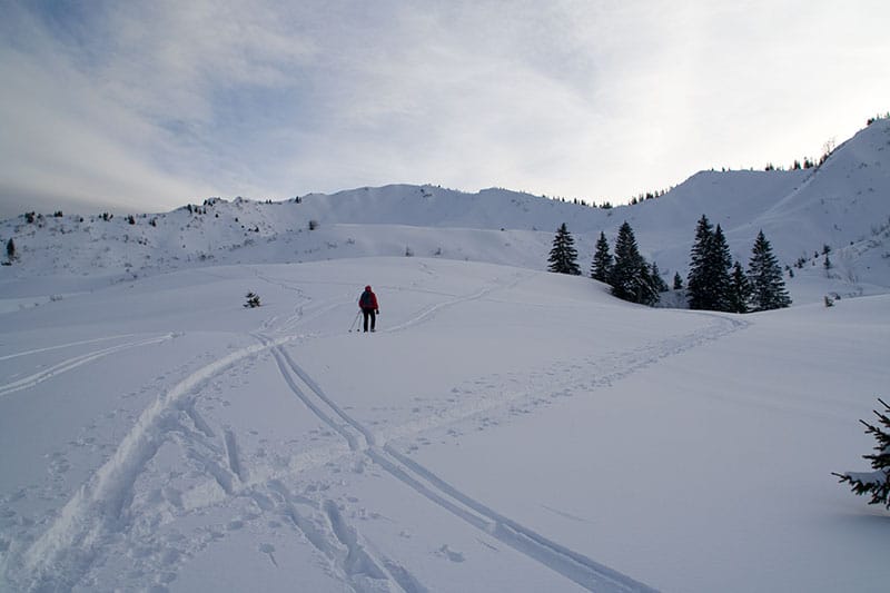 Schneeschuhtour auf das Bleicher und Höllritzerhorn<br />(Gunzesried - Oberallgäu / 2008)