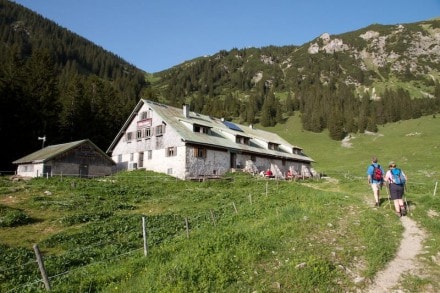 Oberallgäu: Willers Alpe (1.528m) (Hinterstein)