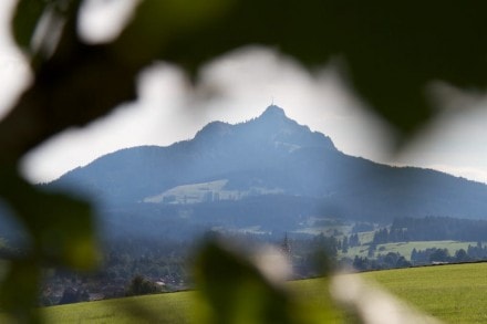 Oberallgäu: Der Schiessbachtobel bei Wertach (Wertach)