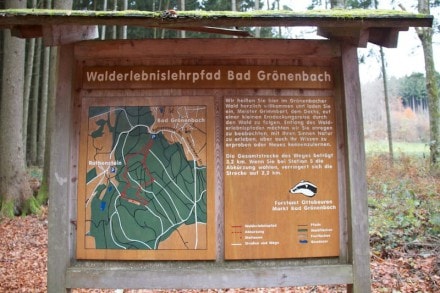 Oberallgäu: Walderlebnispfad (Bad Grönenbach)