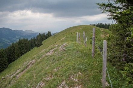 Oberallgäu: Denneberg (Oberstaufen)