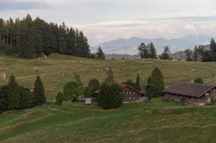 Oberallgäu: Wenger Egg Alpe (Wangen)