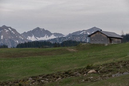 Tannheimer Tal: Pfrontner Alpe (Zöblen)