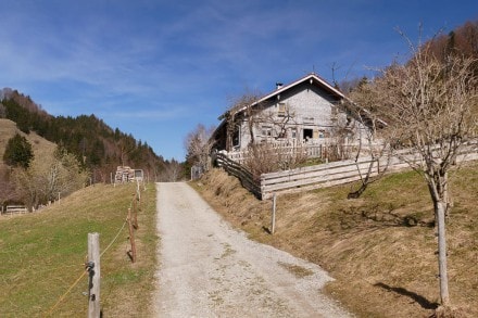Oberallgäu: Alpe Sonnhalde (Oberstaufen)