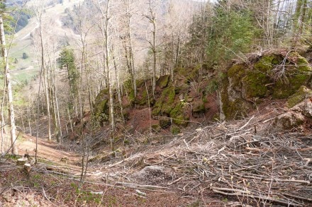 Oberallgäu: Bärengrube am Staufner Berg (Oberstaufen)