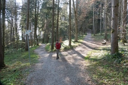 Oberallgäu: Naturpark Rainwald (Oberstaufen)