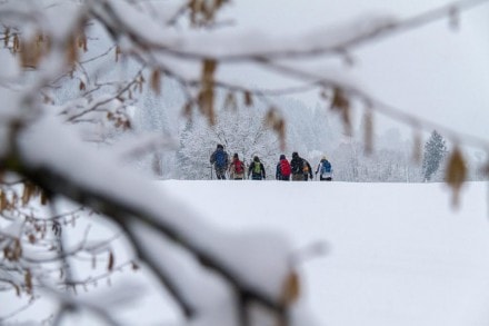 Tirol: Schneeschuhtour zum Tirolerstadl (Pfronten)