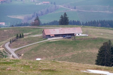 Oberallgäu: Trähers Alpe (1.125m) (Immenstadt)