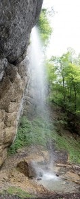 Oberallgäu: Osterdorfer Wasserfall und Weissbachtobel mit Wasserfall (Immenstadt)