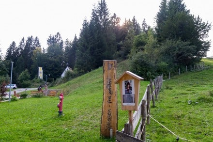 Oberallgäu: Genusswanderung über die Burghalde Ettliser zur Wachters Alpe (Niedersonthofen)