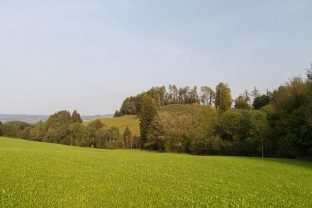 Oberallgäu: Ettliser Burghalde (Niedersonthofen)