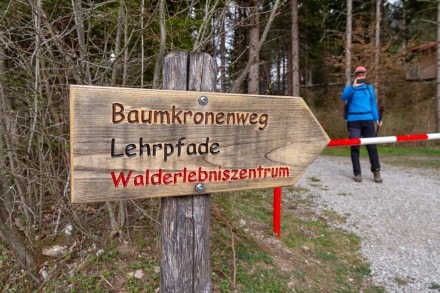 Tirol: Walderlebniszentrum Ziegelwies (Füssen)