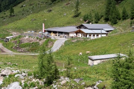 Tirol: Alpe Kaisers (Stockach)