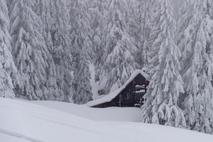 Oberallgäu: Schneeschuhwanderung auf die Grüntenhütte (Rettenberg)
