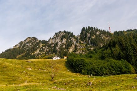 Oberallgäu: Alpe Kalkhöf (Rettenberg)