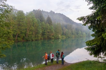 Oberallgäu: Auwaldsee (Reichenbach)