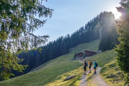 Oberallgäu: Oberen Gund Alpe (Grasgehren)