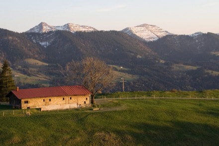 Oberallgäu: Thaler Alpe (Oberstaufen)