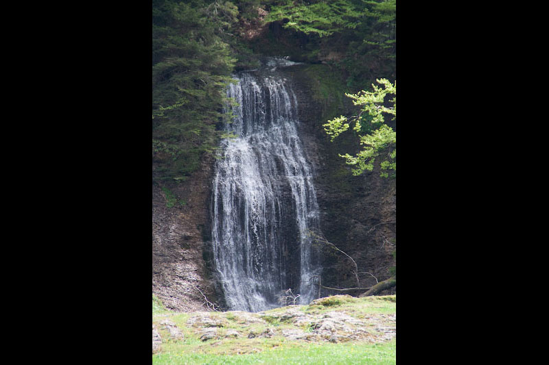 Kessel Alpe<br />(Immenstadt - Oberallgäu / 2008)