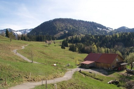 Oberallgäu: Alpe Neugeschwend (Oberstaufen)