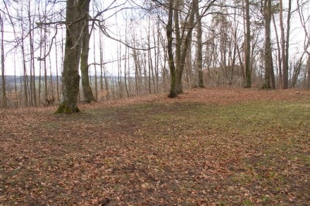 Oberallgäu: Unterstandshütte, ehemals Jagdschlösschen bei Wildpoldsried (Leubas)