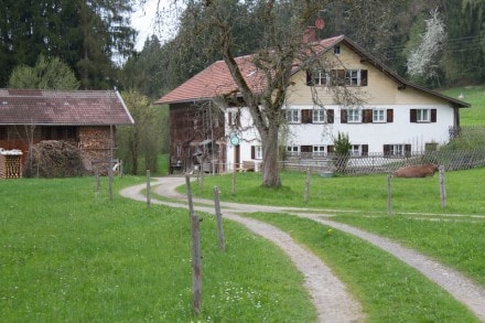 Westallgäu: Alte Knochenmühle (Stampf) (Isny)