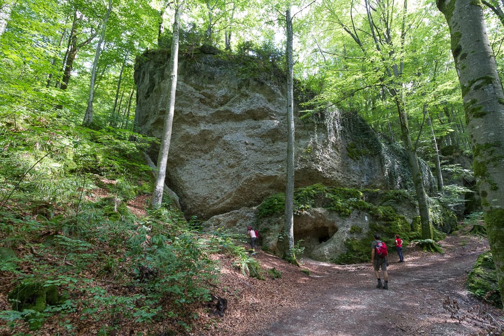 Teufelsküche Geotop Nr. 43<br />(Obergünzburg - Unterallgäu / 2014)