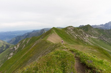 Tirol: Hinterhornbachkette: Rauheck und Kreuzeck (Reutte)