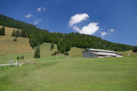 Oberallgäu: Alpe Unterbaldschwang (Altusried)