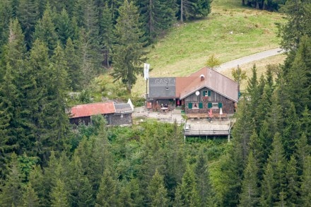 Oberallgäu: Iseler Platz Hütte (1.513m) (Bad Hindelang)