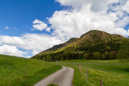 Ammergauer Berge: Tour (Schwangau)