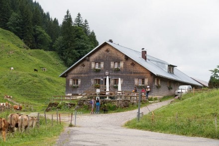 Oberallgäu: Alpe  Scheidwang (Gunzesried)