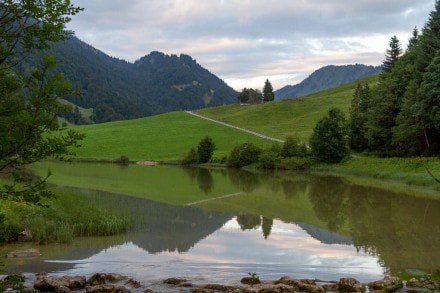 Oberallgäu: Lecknersee (Gunzesried)