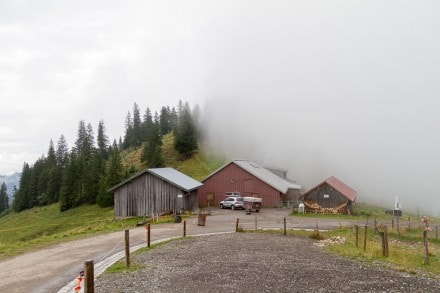 Oberallgäu: Höllritzer Alpe (Gunzesried)