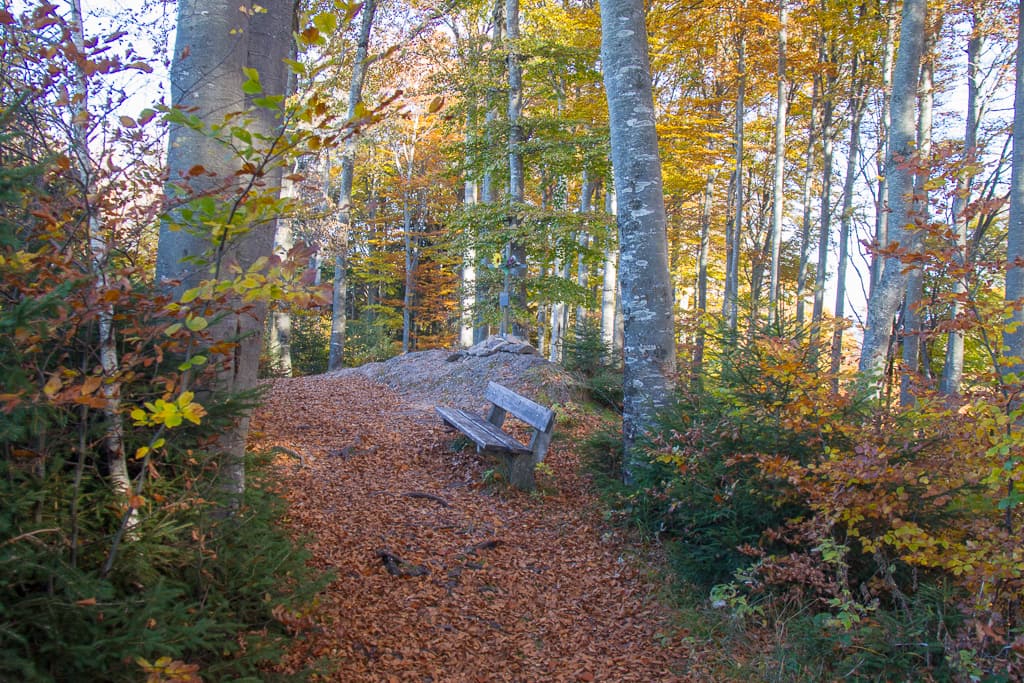Herbsttour auf den Senkelekopf bei Füssen<br />(Füssen - Ostallgäu / 2017)