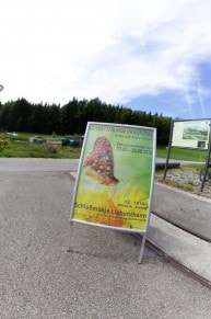 Oberallgäu: Schmetterlinge im Günztal (Obergünzburg)