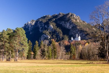 Tirol: Die Königsschlösser am Alpsee im Herbstlicht  (Füssen)