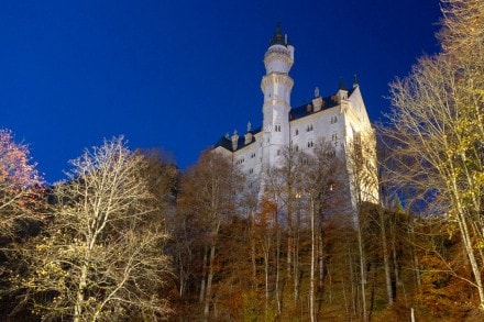 Tirol: Schloss Neuschwanstein (Füssen)