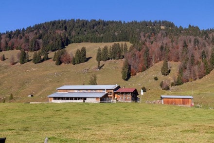Siplingerkopf über die Obere Wilhelmine Alpe