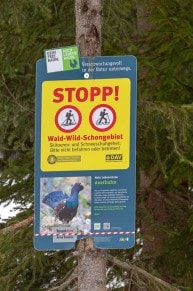 Info: Wald-Wild-Schongebiet (Auerhuhn)