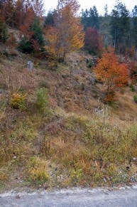 Tirol: Wanderweg vom Kleinen Plansee zum Ochsenboden (Reutte)