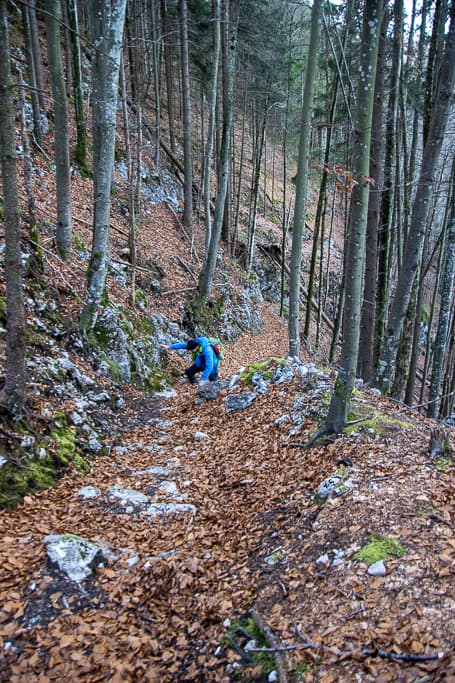 Wald Wanderwege<br />(Füssen - Ostallgäu / 2020)