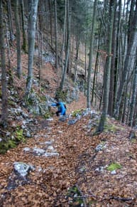 Ostallgäu: Wald Wanderwege (Füssen)