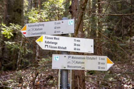 Gipsbruchweiher des Faulenbach bei Füssen