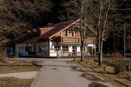 Ostallgäu: Waldwirtschaft am Mittersee (Füssen)