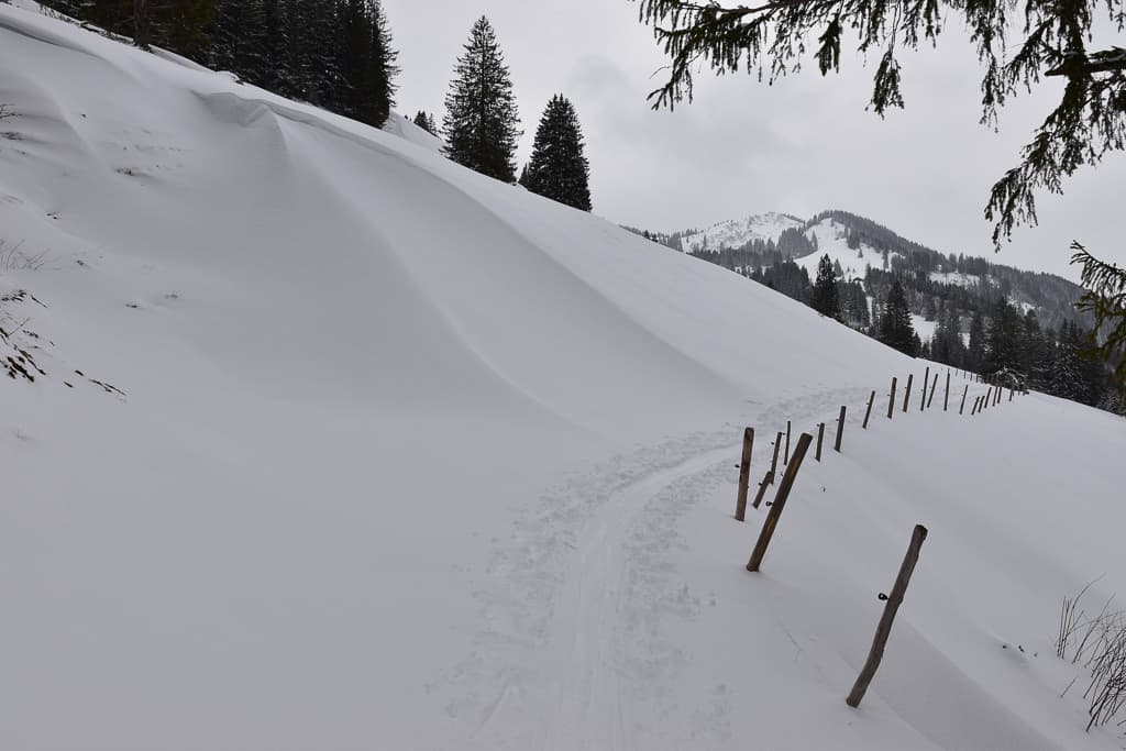 Schneeschuhtour auf den Ochsenkopf<br />(Gunzesried - Oberallgäu / 2020)