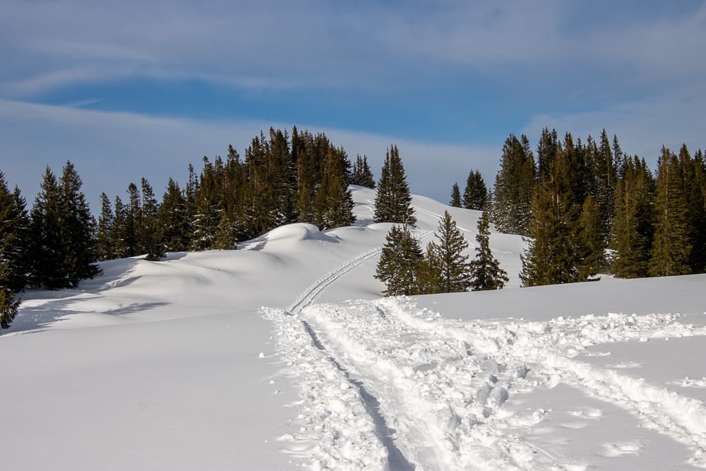 Schneeschuhtour auf den Tennenmooskopf<br />(Balderschwang - Oberallgäu / 2020)