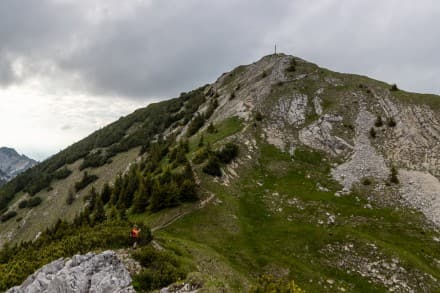 Ammergauer Berge: Bergtour auf den Scheinbergspitz in den Ammergauer Alpen (Graswang)