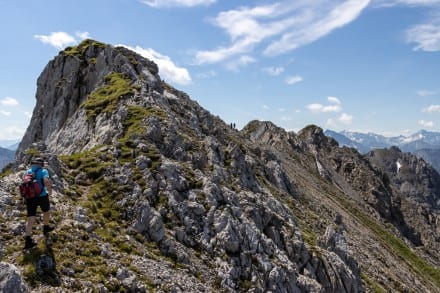 Tirol: Wegloser Grad bzw. Höhenweg (Forchach)